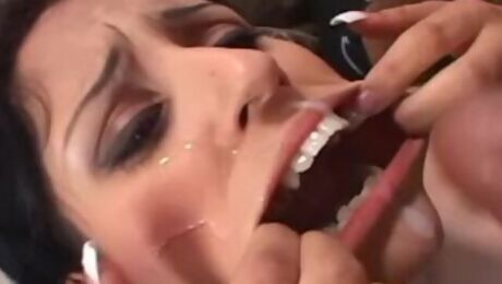 Tender Jay Lassiter and Tony T at blowjob trailer
